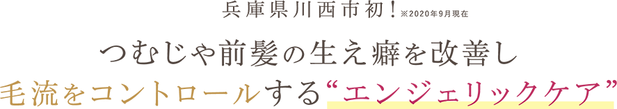 つむじや前髪の生え癖を改善し毛流をコントロールするエンジェリックケア