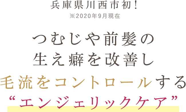つむじや前髪の生え癖を改善し毛流をコントロールするエンジェリックケア