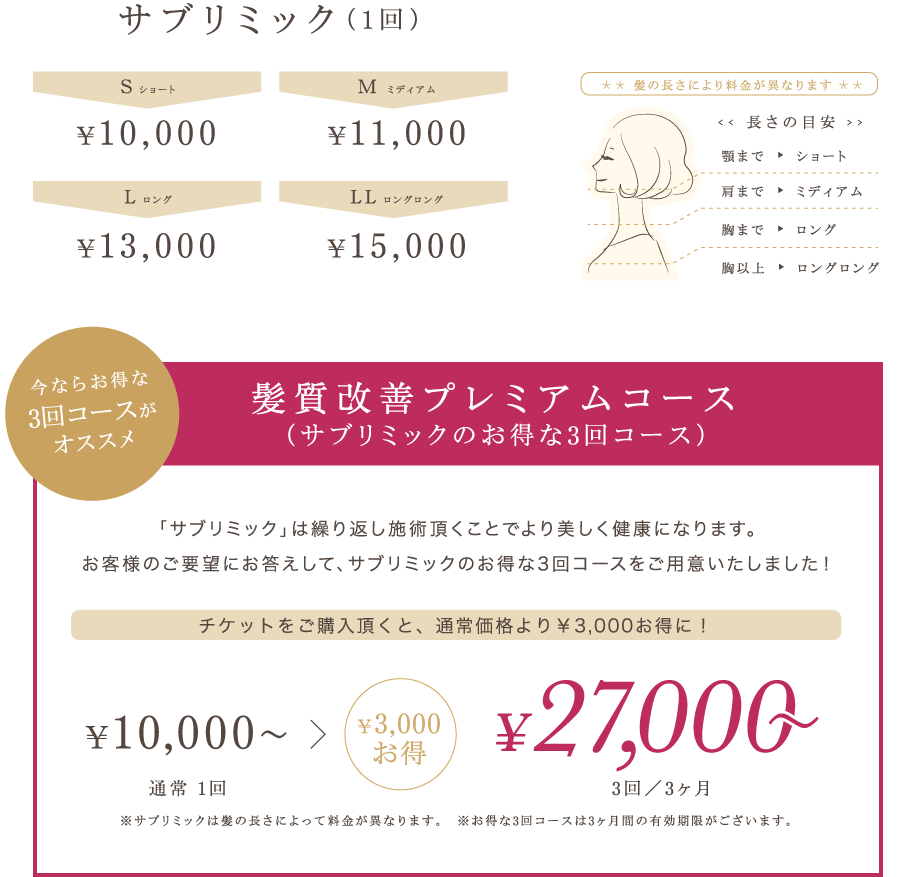 ハリ・コシが無くなってきた 髪がパサついて、からまる 髪が広がる、うねる 後ろ姿に自信がない カラーやパーマで傷んで悩んでいる 毎日のスタイリングに時間がかかる