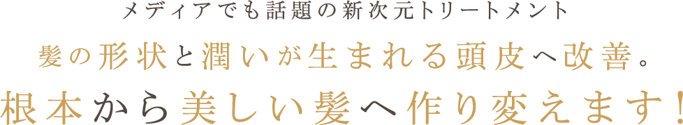 メディアでも話題の新次元トリートメント 髪の形状と潤いが生まれる頭皮へ改善。根本から美しい髪へ作り変えます！