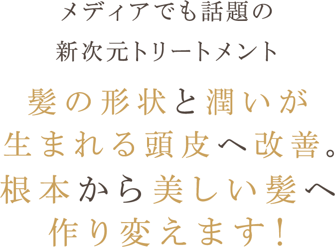 メディアでも話題の新次元トリートメント 髪の形状と潤いが生まれる頭皮へ改善。根本から美しい髪へ作り変えます！