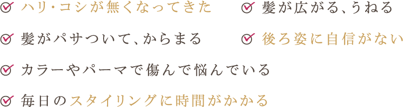 ハリ・コシが無くなってきた 髪がパサついて、からまる 髪が広がる、うねる 後ろ姿に自信がない カラーやパーマで傷んで悩んでいる 毎日のスタイリングに時間がかかる