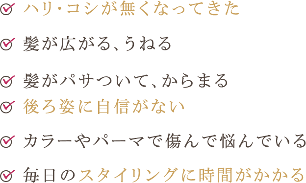 ハリ・コシが無くなってきた 髪がパサついて、からまる 髪が広がる、うねる 後ろ姿に自信がない カラーやパーマで傷んで悩んでいる 毎日のスタイリングに時間がかかる