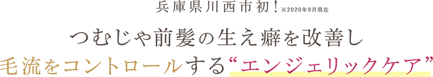 つむじや前髪の生え癖を改善し毛流をコントロールするエンジェリックケア