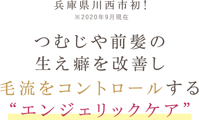 つむじや前髪の生え癖を改善し毛流をコントロールするエンジェリックケア